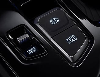Hyundai Custin